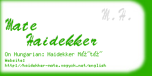 mate haidekker business card